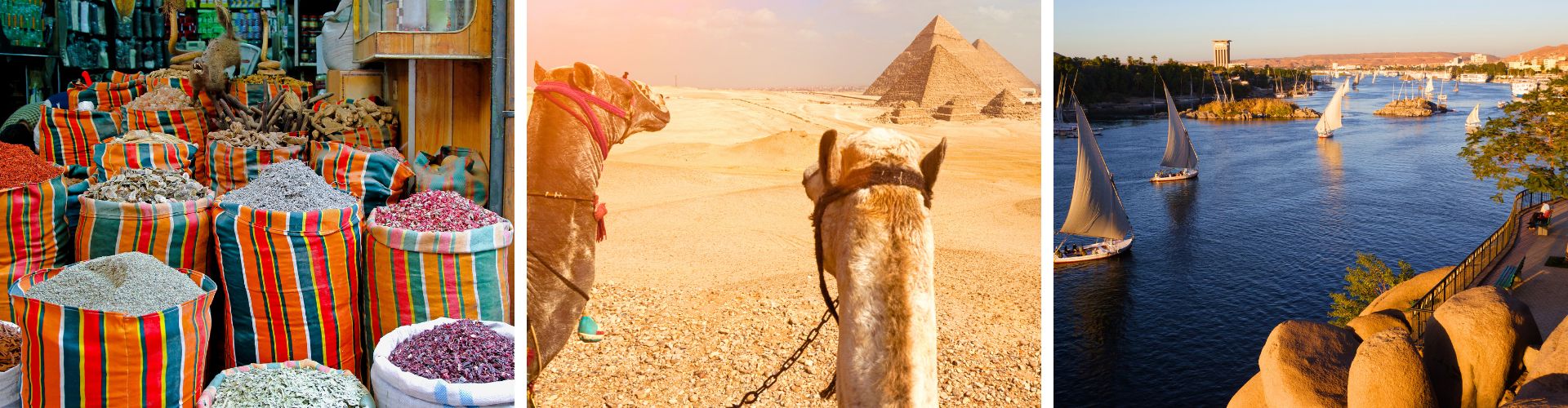 Essential Pyramids & the Nile Explorer Day 7 (1) Egypt Picture Gallery